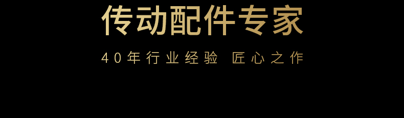 40年齒條傳動配件專家品質(zhì)保障 40年齒條傳動配件專家品質(zhì)保障